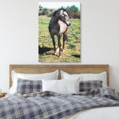 Fotoprofiel Appaloosa Canvas Afdruk (Insitu (Slaapkamer))