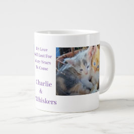 Fotoquote van jonge katjes grote koffiekop