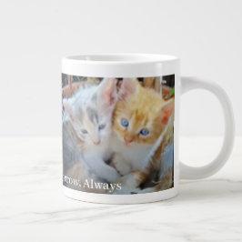 Fotoquote van katjes grote koffiekop