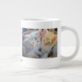 Fotoquote van kittens grote koffiekop (Rechts)