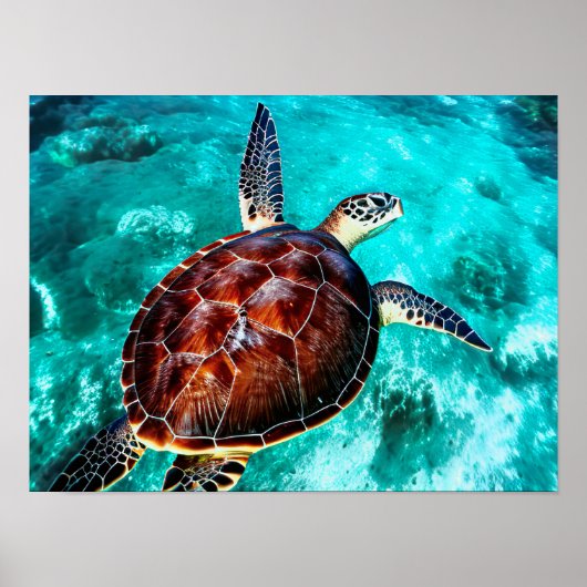 Fotorealistische Zee schildpad in Turkooiswater Poster (Voorkant)