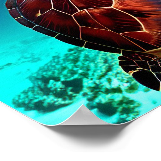 Fotorealistische Zee Turtle | Opslaan van de Zee Poster (Hoek)