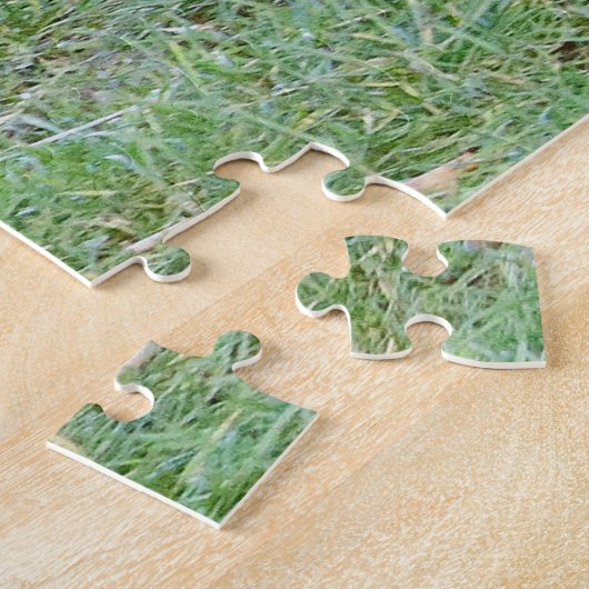 Fotoreuzenpanda, dieren 0340. legpuzzel (Zijkant)