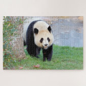 Fotoreuzenpanda, dieren 0340. legpuzzel (Horizontaal)