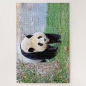 Fotoreuzenpanda, dieren 0340. legpuzzel (Verticaal)