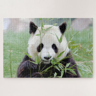 Fotoreuzenpanda, dieren 0341. legpuzzel