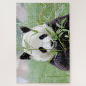 Fotoreuzenpanda, dieren 0341. legpuzzel (Verticaal)