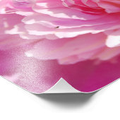 Fotoroze Peony Foto Afdruk (Hoek)