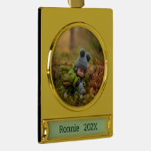 Foto's aanpassen verguld banner ornament (Rechts)