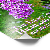 Foto's afdrukken (exacte grootte) - Paarse Lilacs  Foto Afdruk (Hoek)