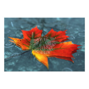 Foto's afdrukken foto afdruk