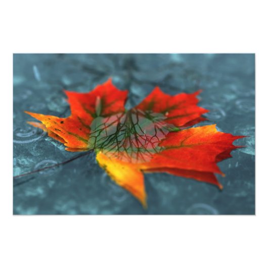 Foto's afdrukken foto afdruk (Voorkant)