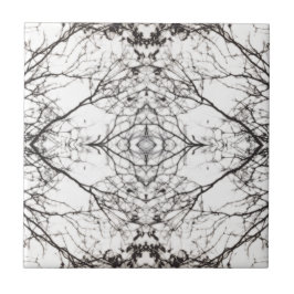 Foto's Birch Tree Tegeltje