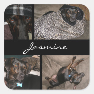  foto's Collage Monogram Hondenliefhebber Vierkante Sticker