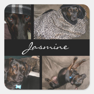 Foto's Collage Monogram Hondenliefhebber Vierkante Sticker