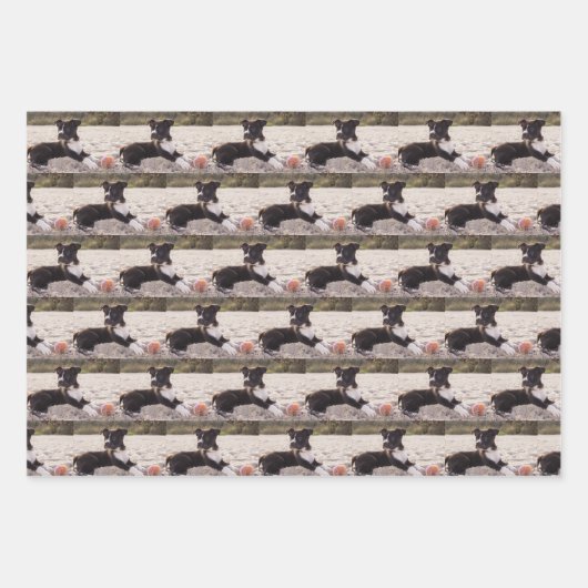 Foto's dierenvriend Pet Inpakpapier Vel (Voorkant 2)