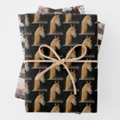 Foto's dierenvriend Pet Inpakpapier Vel (In situ)