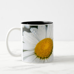 foto's, een margueritte, groen tweekleurige koffiemok