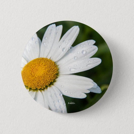 foto's, marguerito's, groen ronde button 5,7 cm (Voorkant)
