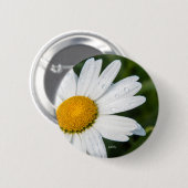 foto's, marguerito's, groen ronde button 5,7 cm (Voorkant /achterkant)