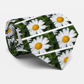 foto's, marguerito's, groen stropdas (Opgerold)