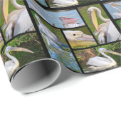 Foto's mozaïek van pelikanen cadeaupapier (Rol Hoek)