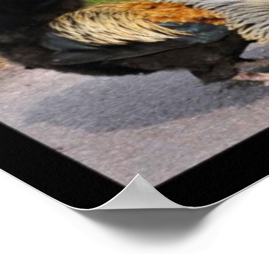 Foto's mozaïek van roosters en kippen poster (Hoek)