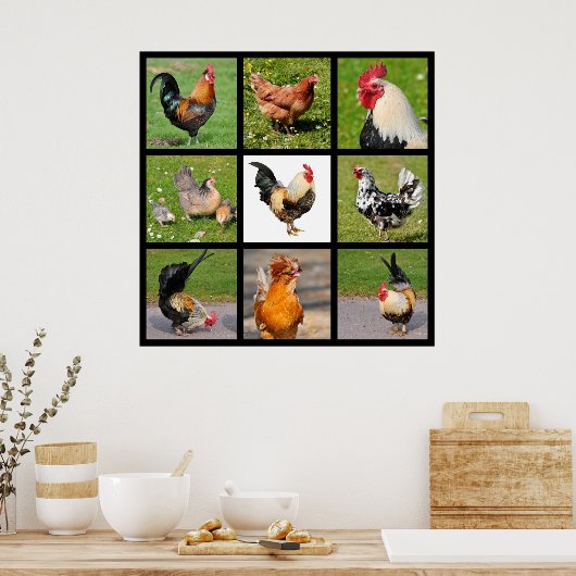 Foto's mozaïek van roosters en kippen poster (Keuken)
