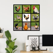 Foto's mozaïek van roosters en kippen poster (Thuiskantoor)