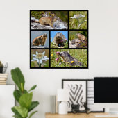 Foto's mozaïekalpiene marmots en edelweiss poster (Thuiskantoor)