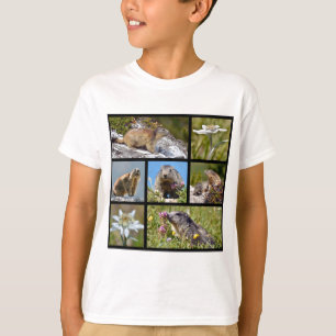 Foto's mozaïekalpiene marmots en edelweiss t-shirt