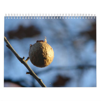 Foto's natuur kalender