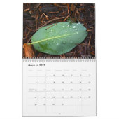 Foto's natuur kalender (Mar 2027)
