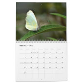 Foto's natuur kalender (Feb 2027)