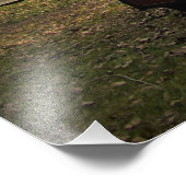 Foto's "Nog steeds een vertrouwde vriend" Foto Afdruk (Hoek)