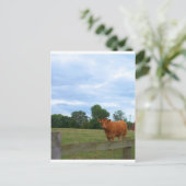 Foto's op het Engelse platteland Briefkaart (Staand voorkant)