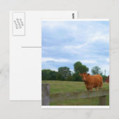 Foto's op het Engelse platteland Briefkaart (Voorkant / Achterkant)