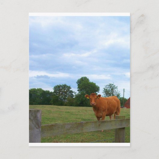 Foto's op het Engelse platteland Briefkaart (Voorkant)