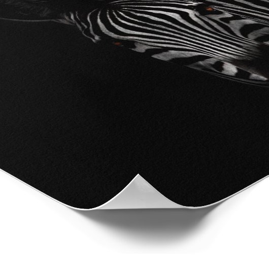 foto's op zebra, zwart en wit poster (Hoek)