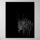 foto's op zebra, zwart en wit poster (Voorkant)