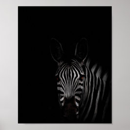 foto's op zebra, zwart en wit poster