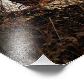 Foto's 'Opnieuw bijsnijden' Foto Afdruk (Hoek)