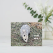 Fotos opossum dank u briefkaart (Staand voorkant)
