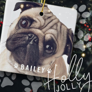 Foto's petten op Bord voor de naam van een hond Keramisch Ornament