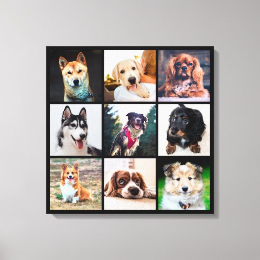 Foto's puppies Honden Instagram Canvas Afdruk (Voorkant)
