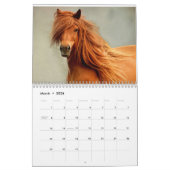 Foto's van Beauful Horses Calendar Kalender (Mar 2026)