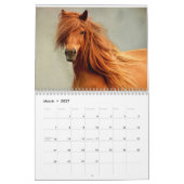 Foto's van Beauful Horses Calendar Kalender (Mar 2027)