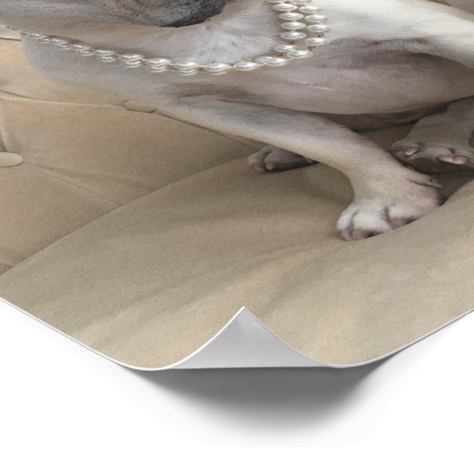 foto's van Bulldog Poster (Hoek)