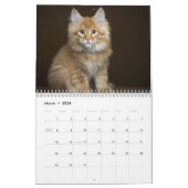 Foto's van Cats & Kittens 20XX Agenda Kalender (Mar 2026)