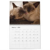 Foto's van Cats & Kittens 20XX Agenda Kalender (Feb 2026)
